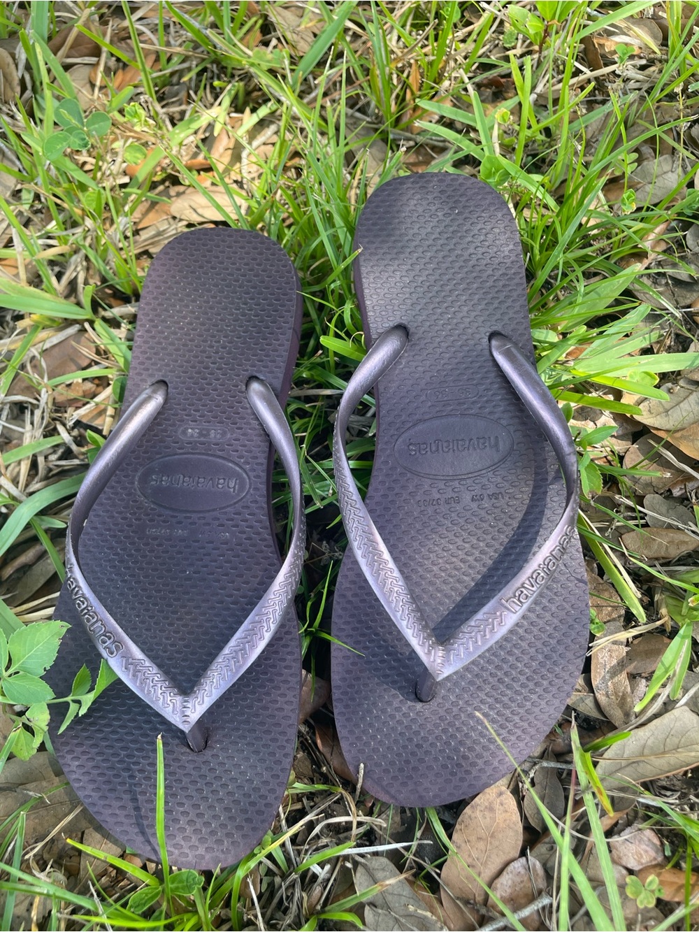 Havaianas Flip Flops in Metallic Plum